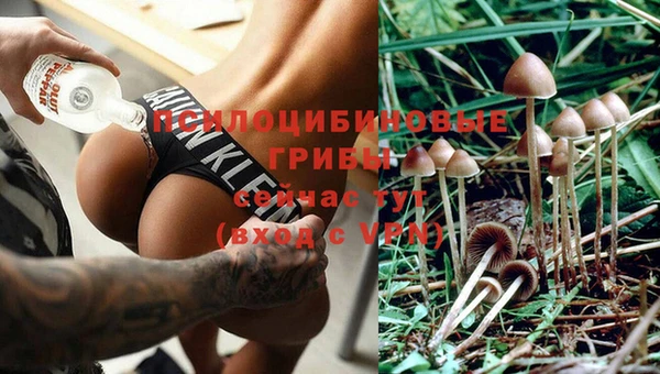 дмт Белоозёрский